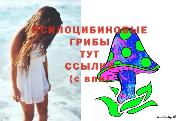 гидропоника Балахна