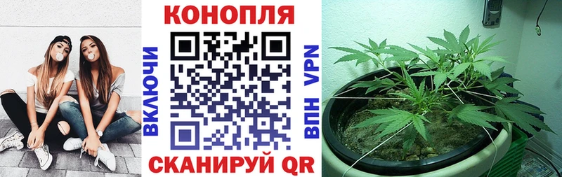 Канабис THC 21%  Купить закладки  Усолье-Сибирское 